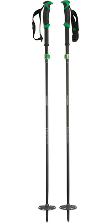 Ski Poles