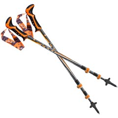 Trekking Poles